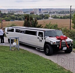 svadobná - limuzína - Svadba sa konala na mieste Archíve Vín vo Vrábľoch dňa 13.9.2025 v okres Nitra 